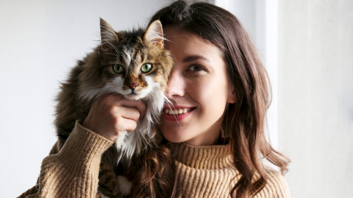 11 Foolproof Signs Your Cat Has Imprinted On You