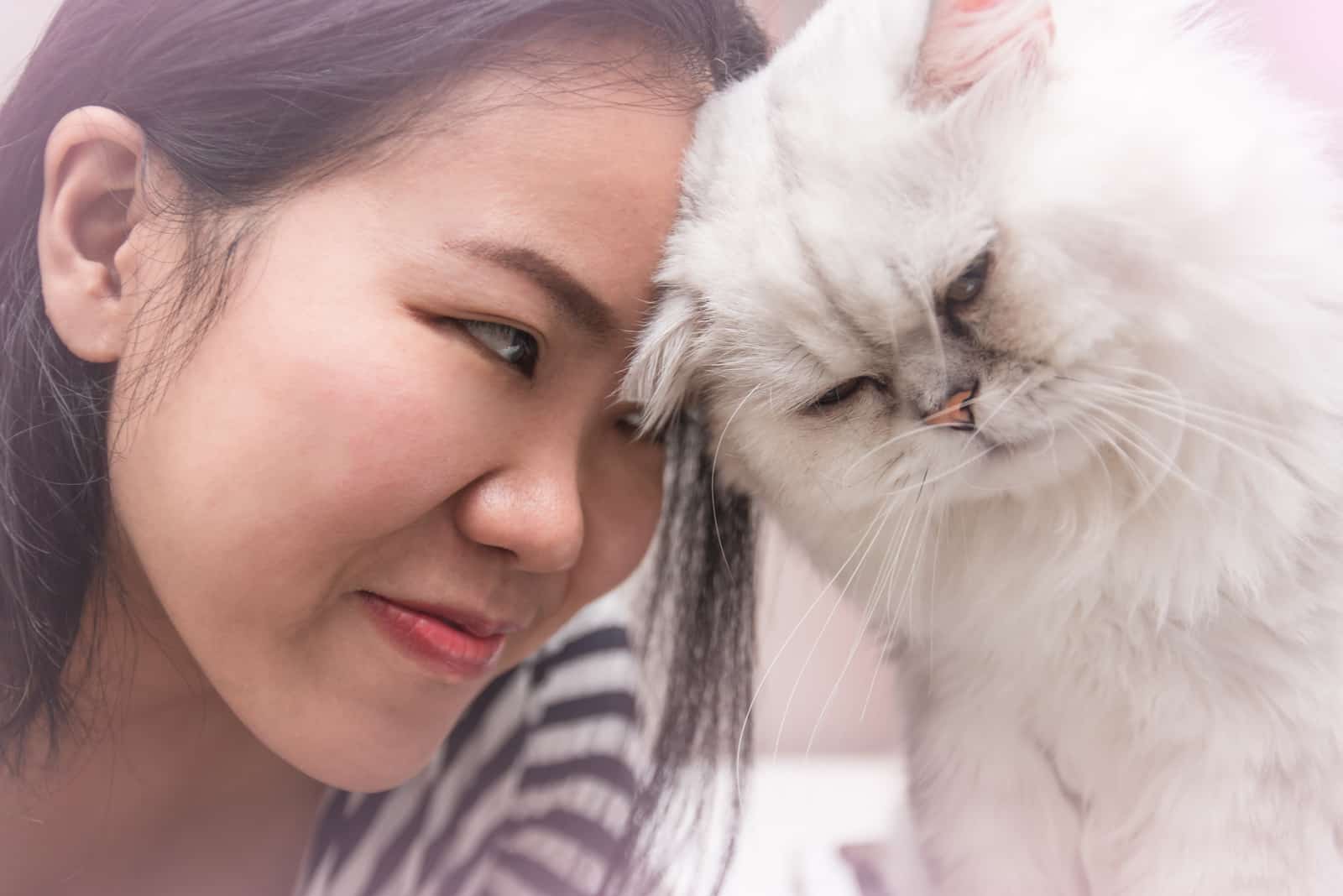 7 Reasons Why Does My Cat Headbutt Me Then Bite Me