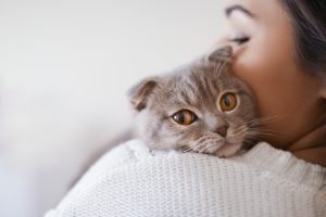 woman holding cute cat on shoulder