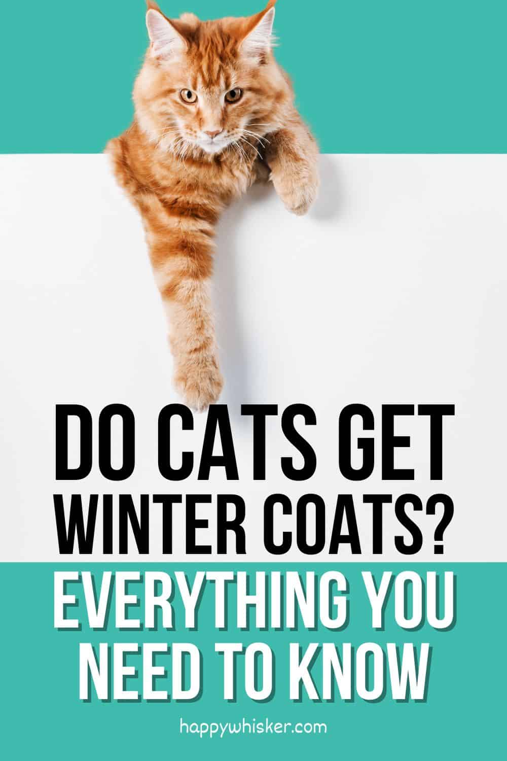 Do Cats Get Winter Coats Everything You Need To Know Pinterest