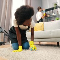 woman cleans the carpet