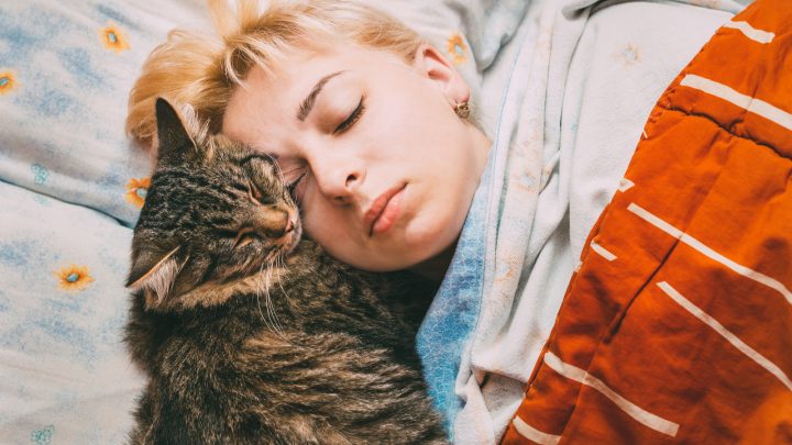 How Do Cats Choose Who To Sleep With? (Best Explanation)