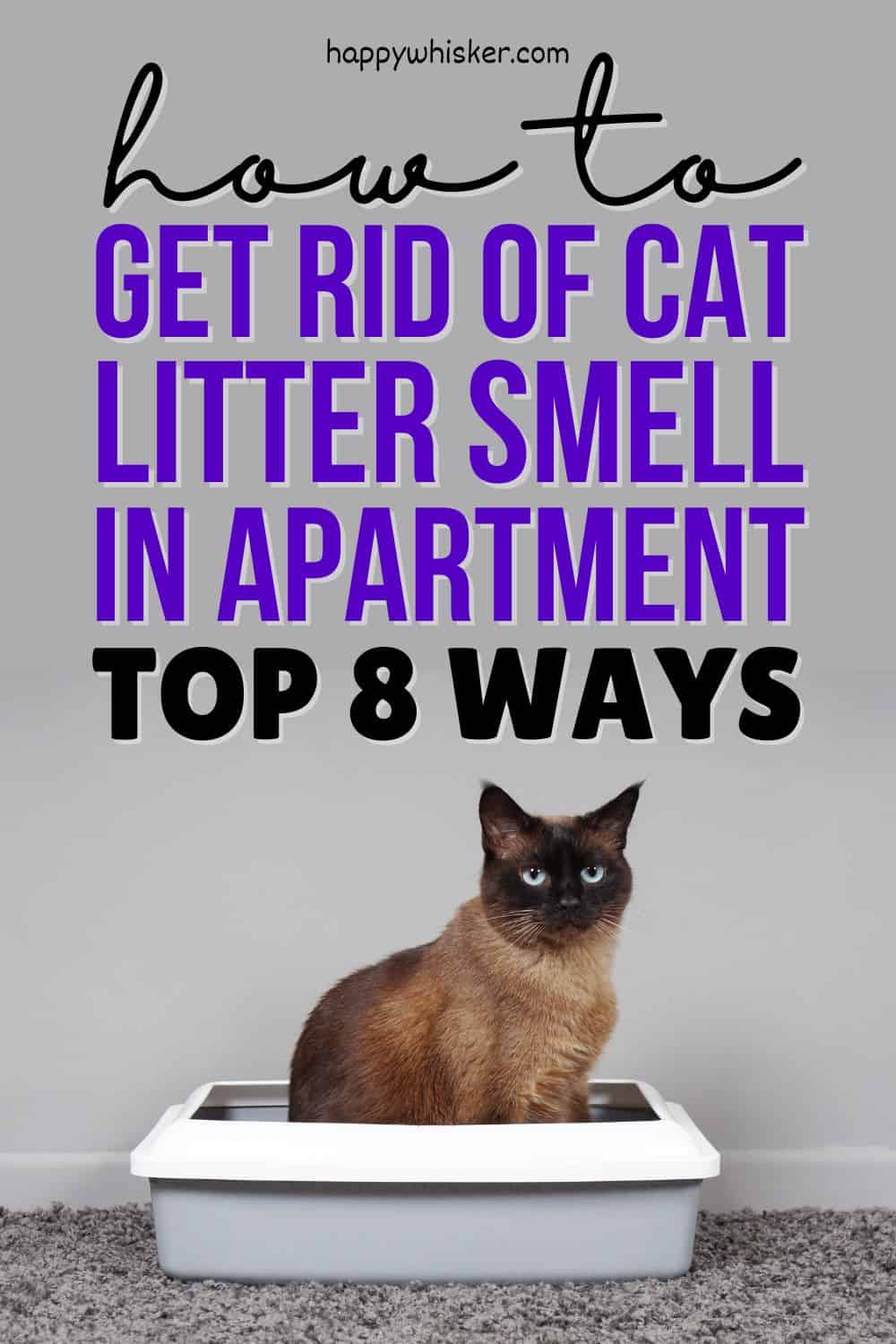 Cat litter smell shop in small apartment