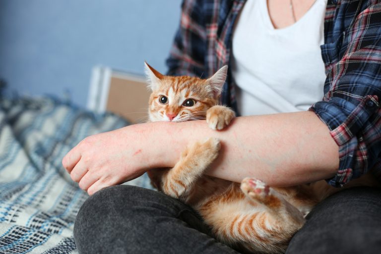 the cat sits in the woman's lap and scratches her arm