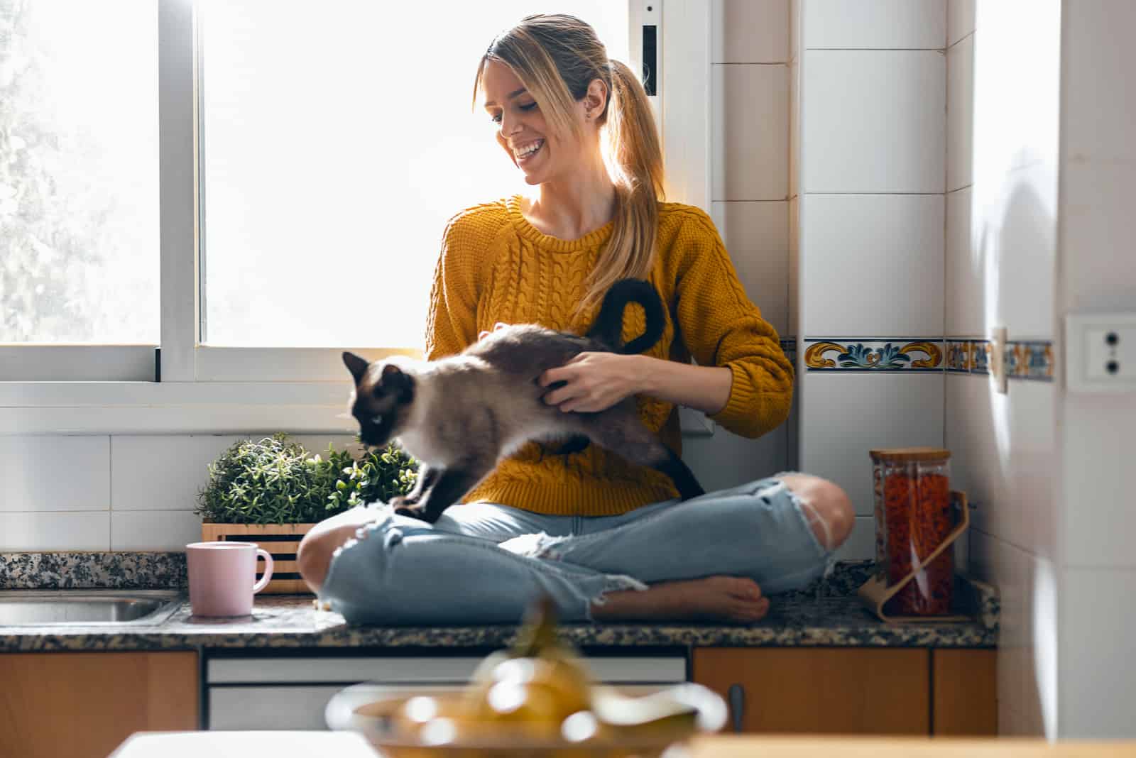 a woman is sitting in the kitchen petting a Siamese cat