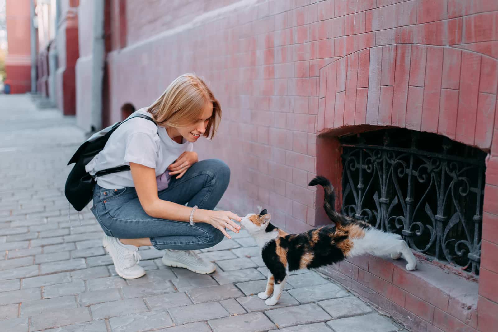 a woman on the street tries to pet a cat