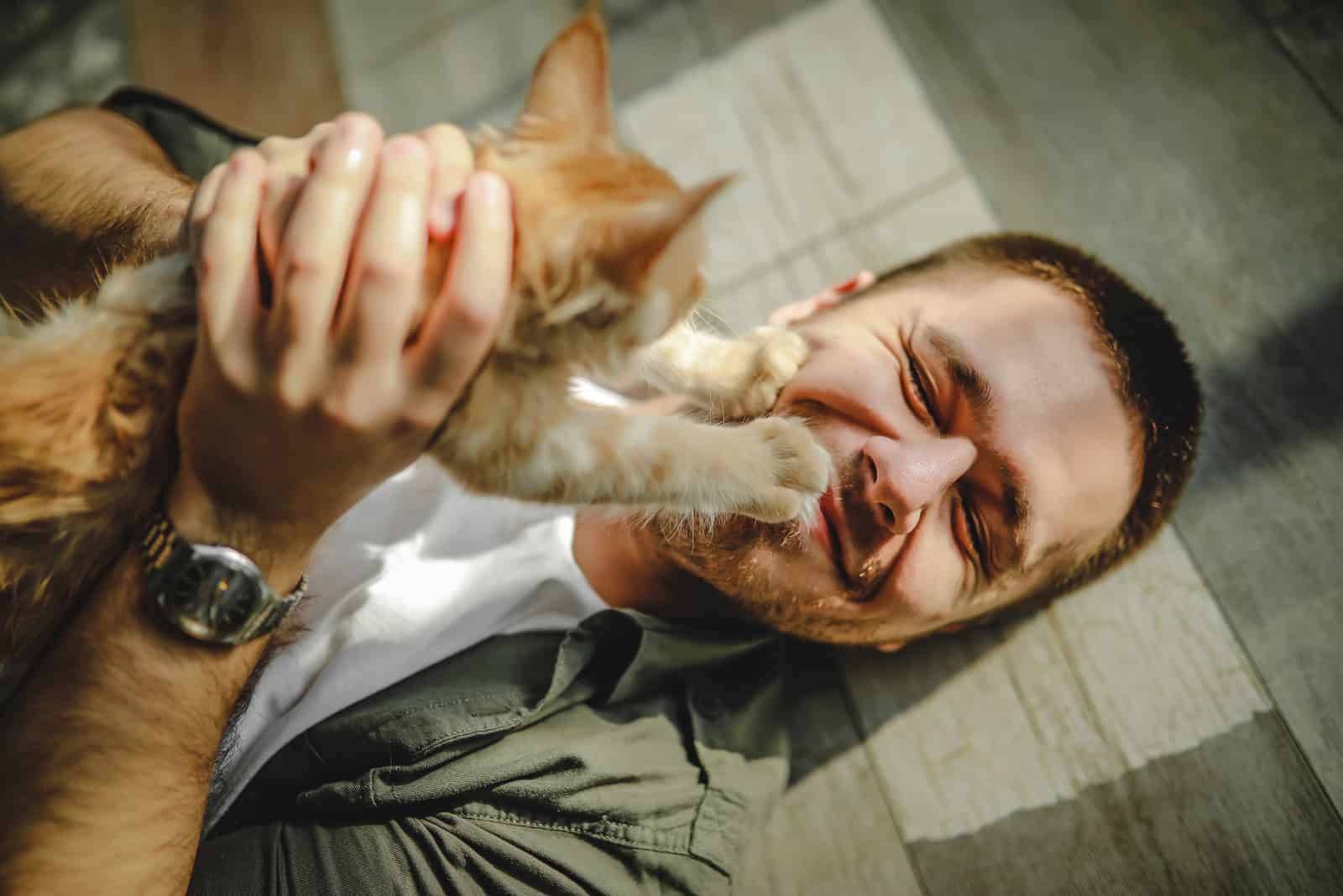 cat touching owner's face