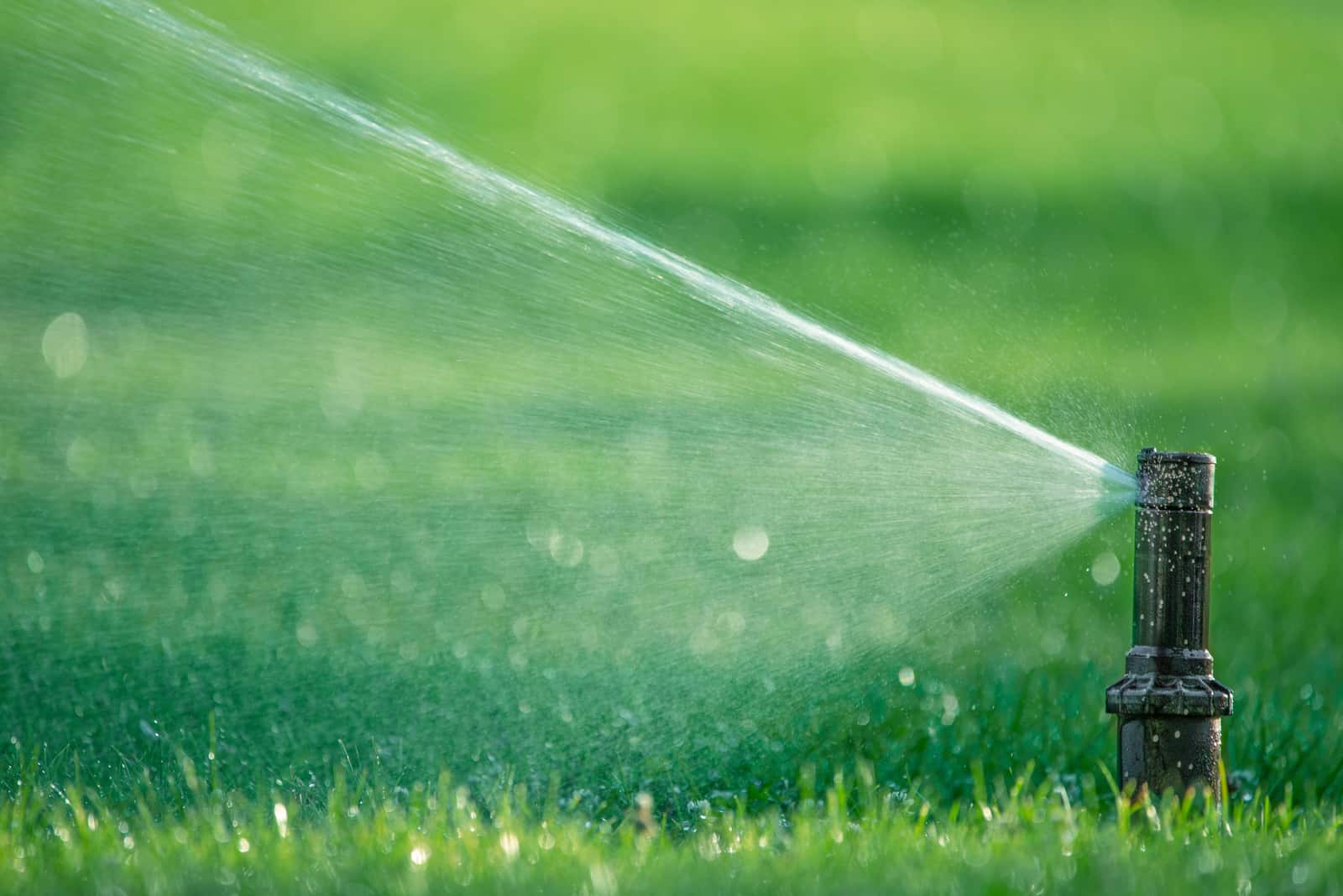 watering system waters the juicy young green lawn grass