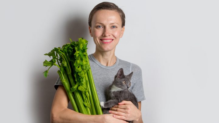 Can Cats Eat Celery? Here’s What You NEED To Know!