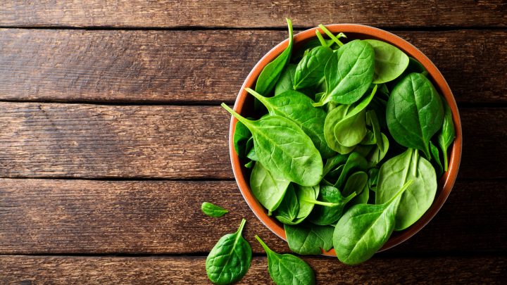Can Cats Eat Spinach? This Is What You Need To Know