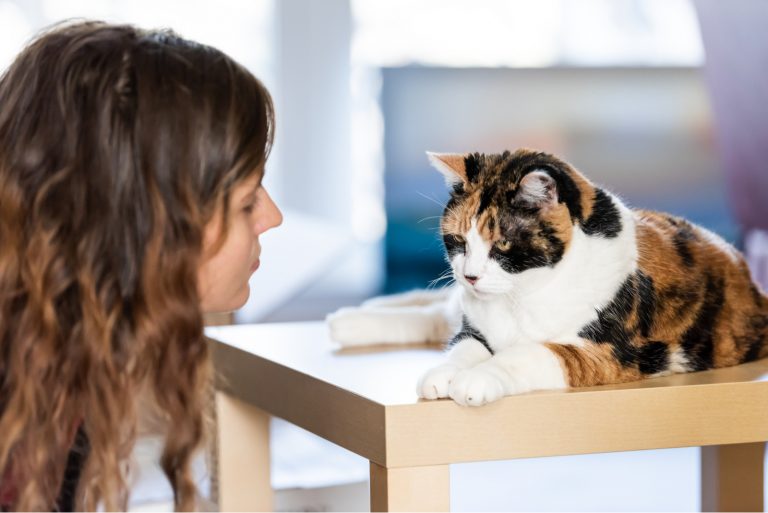 young woman looking at clingy cat