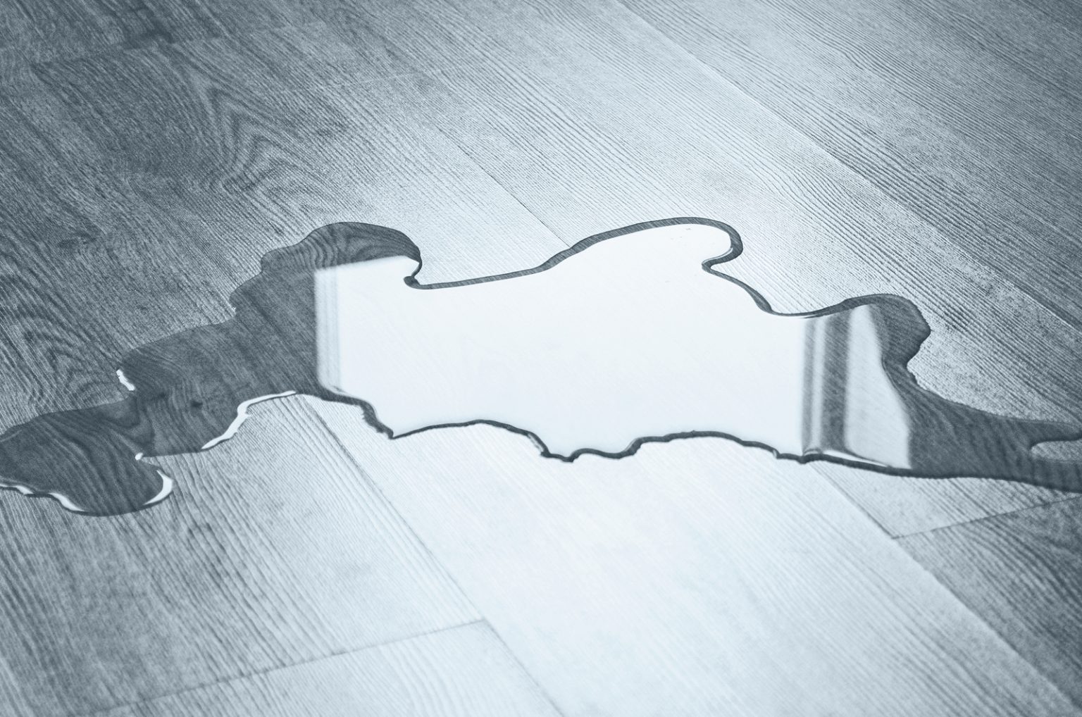 7 Reasons Why Is My Cat Peeing On Furniture + Prevention Tips!