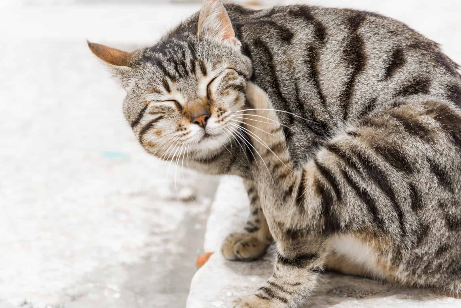 the woman sits and scratches her neck