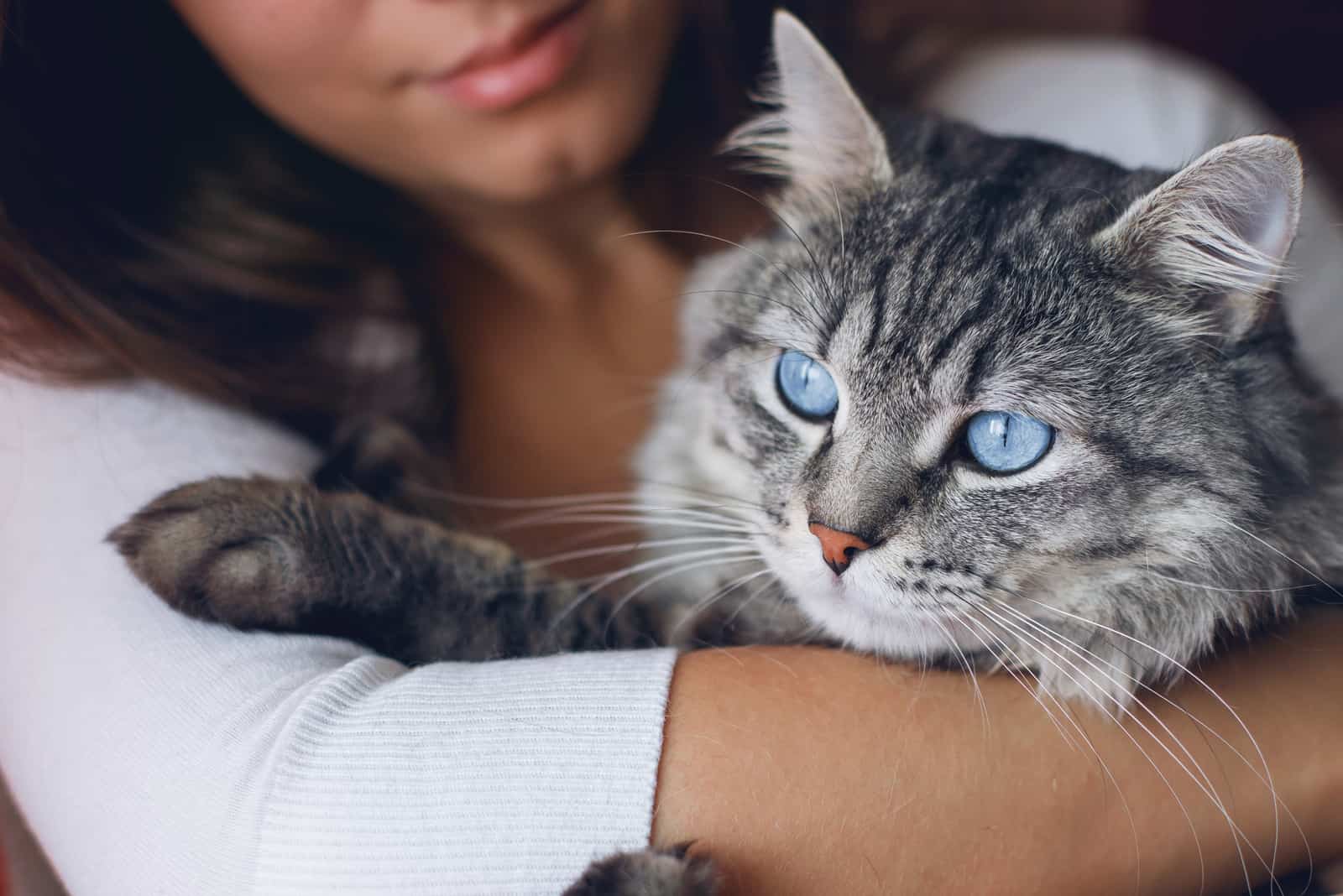 Beautiful woman at home holding and hug her lovely fluffy cat