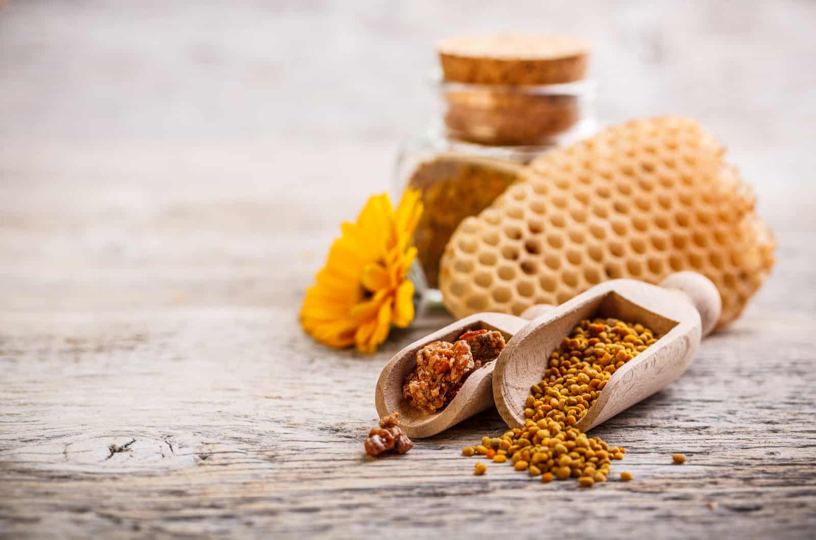 Bee pollen granules and propolis in wooden scoop