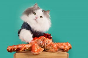 cat standing behind crabs