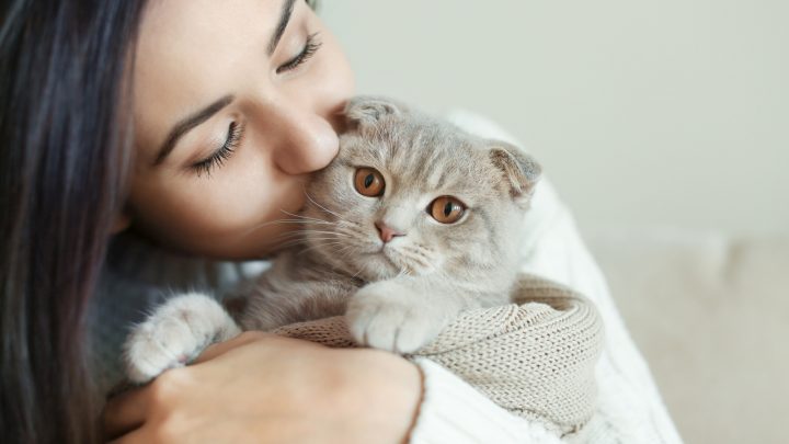 Do Cats Forget Their Owners? Here’s The Answer!