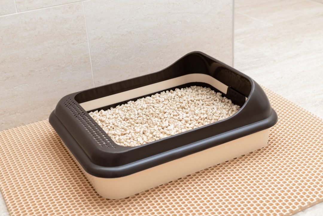 Buyer’s Guide Best Multi Cat Litter Box Solutions (2023)