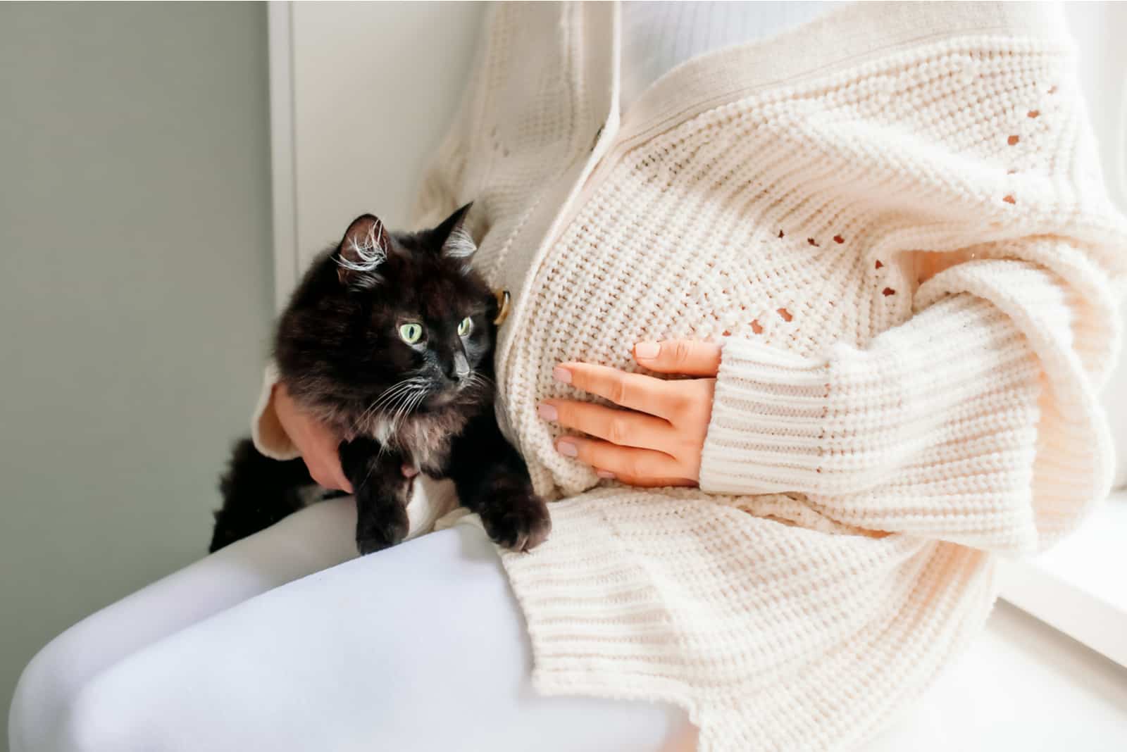 Pregnant woman holding cat