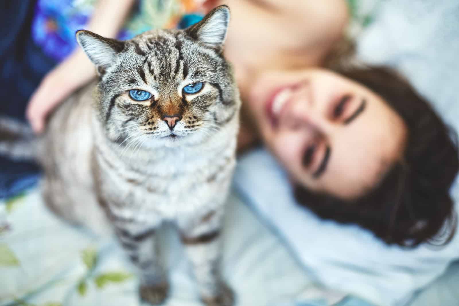 a beautiful cat with blue eyes with a woman in bed