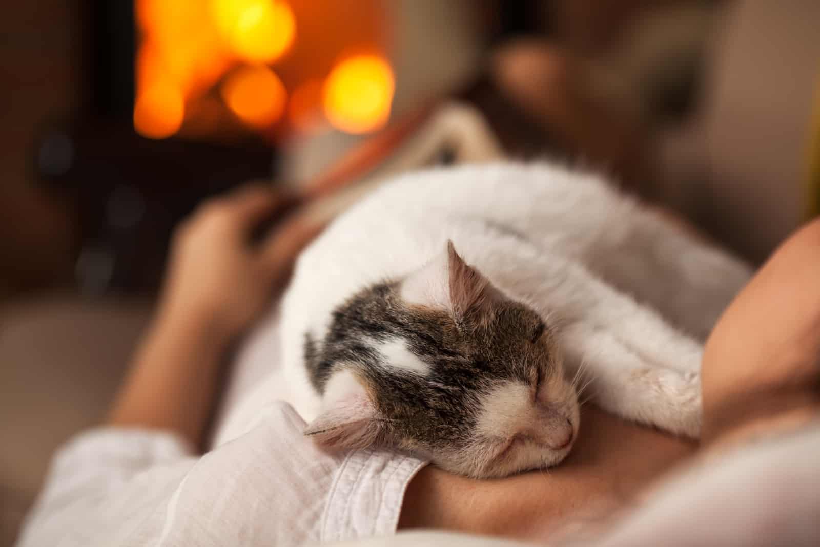 a woman and a cat are sleeping in the living room