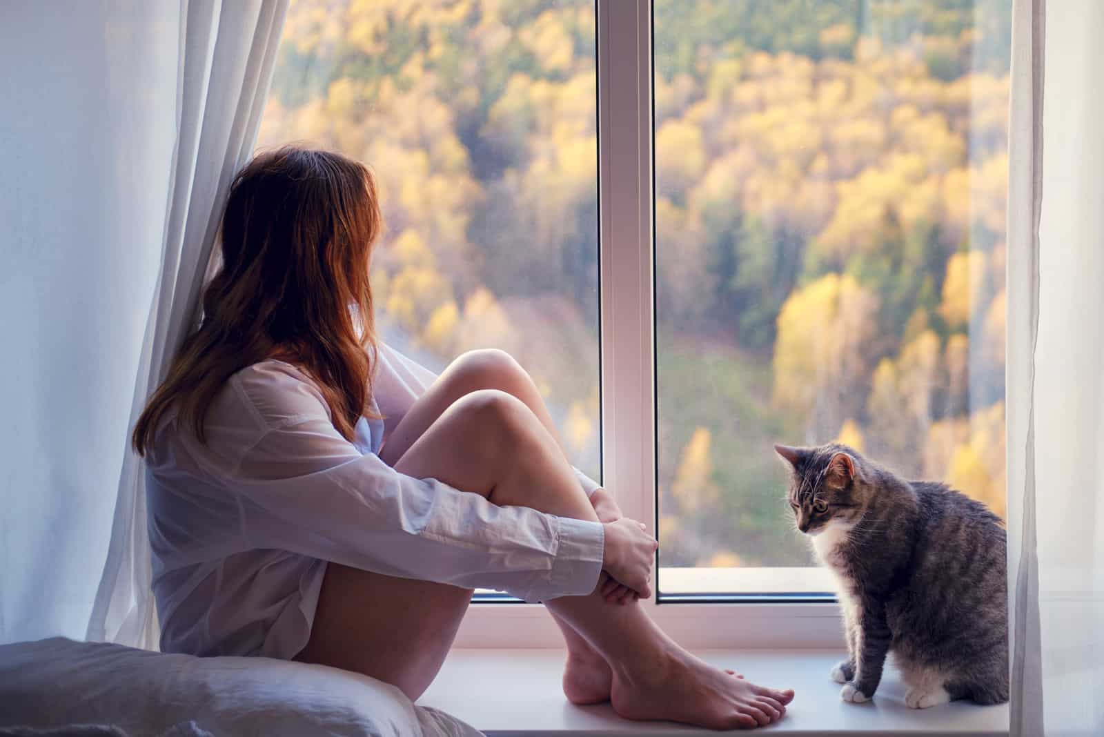 a woman with a cat is sitting in the room by the window