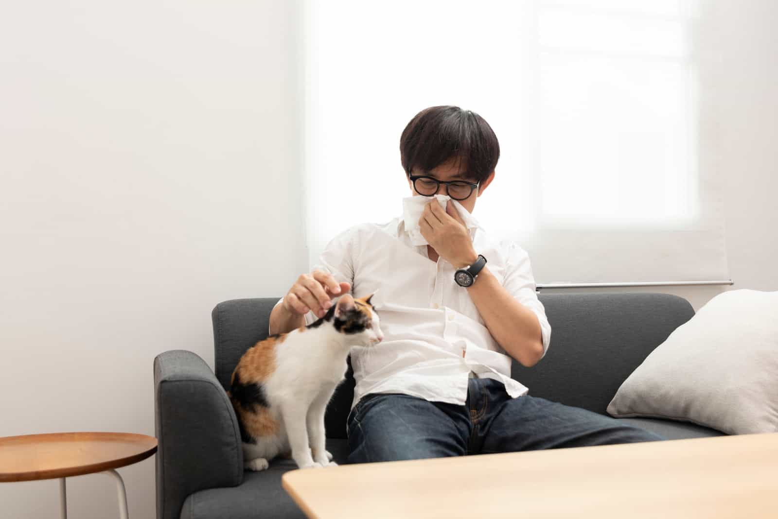an asian man sits on a sofa and caresses a cat