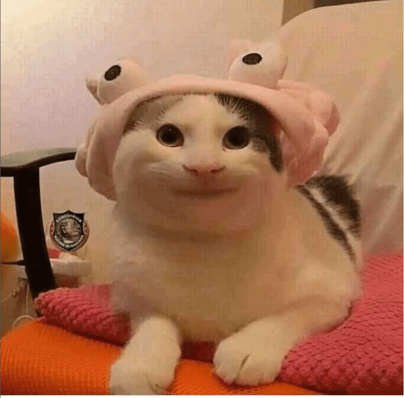 Beluga Cat Meme Face Smiling | Pin