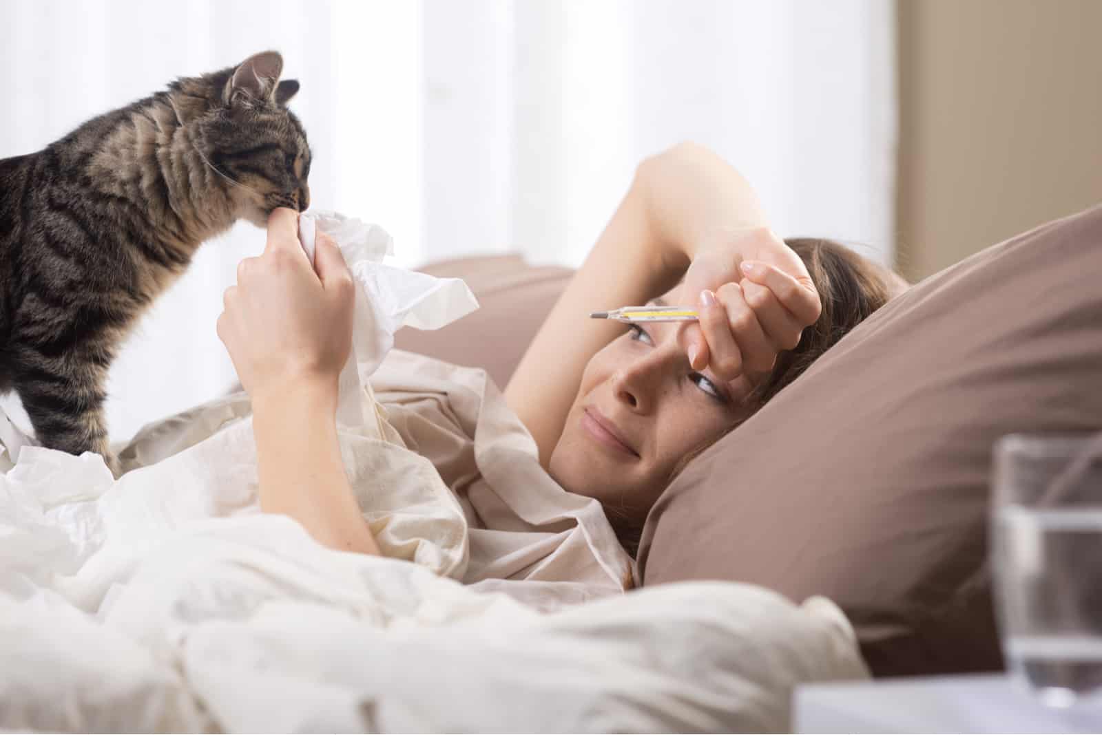 kitty sniffs the handkerchief of a sick woman