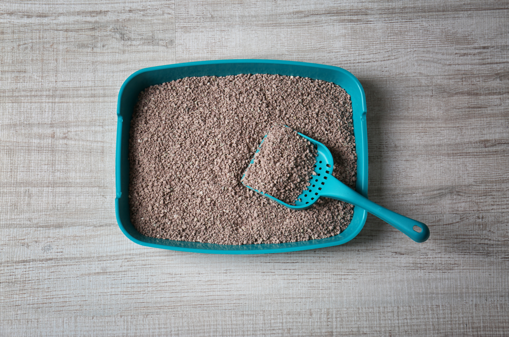 18 Best Alternative Cat Litter For Your Cat Check It Out!