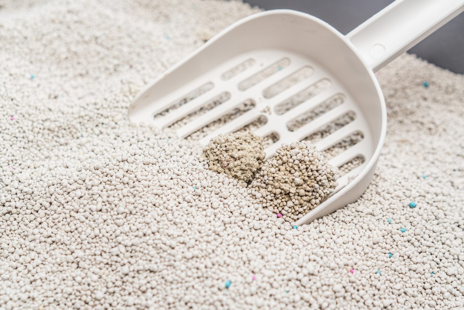 18 Best Alternative Cat Litter For Your Cat Check It Out!