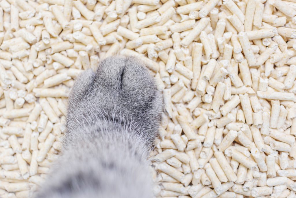 List Of 9 Sifting Litter Box Choices For Pine Pellets happywhisker