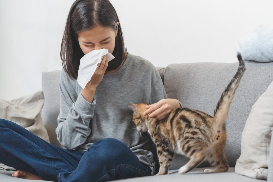 Can Cats Tell When You’re Sick? Here’s What You Need To Know!
