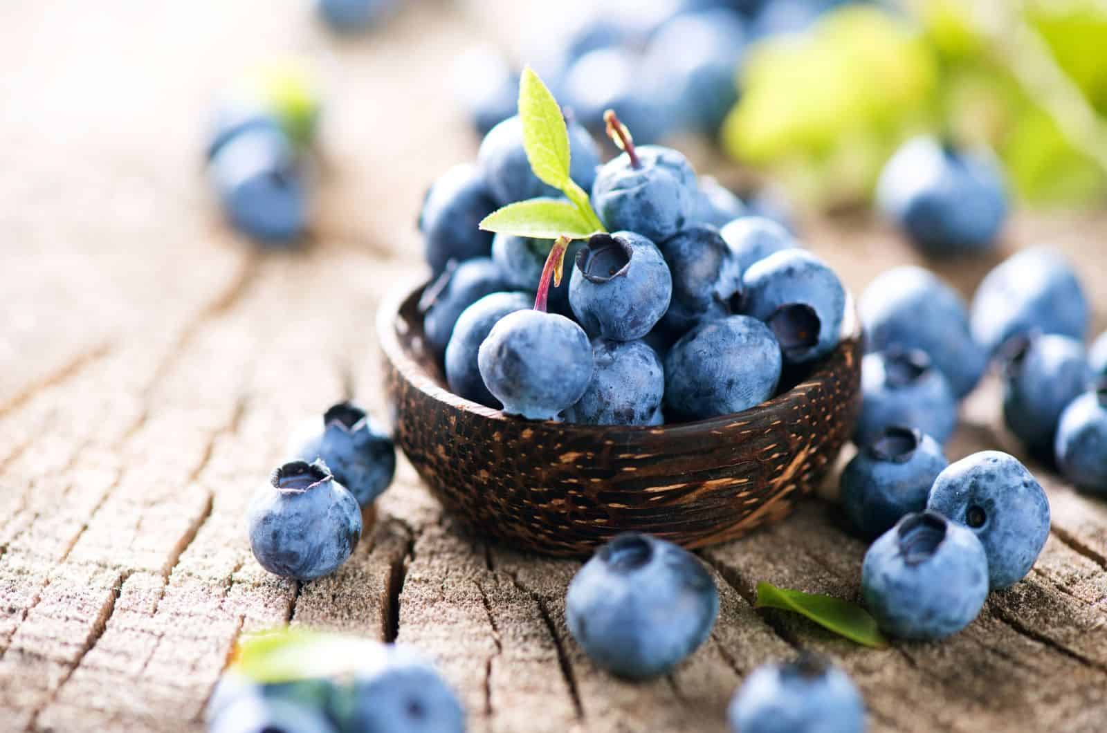 Freshly picked blueberries in wooden bowl