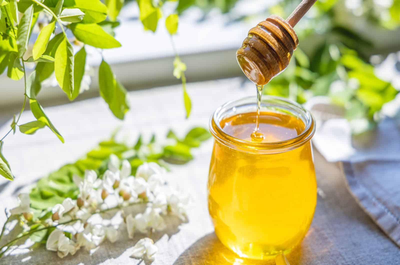 Sweet honey jar surrounded spring acacia blossoms