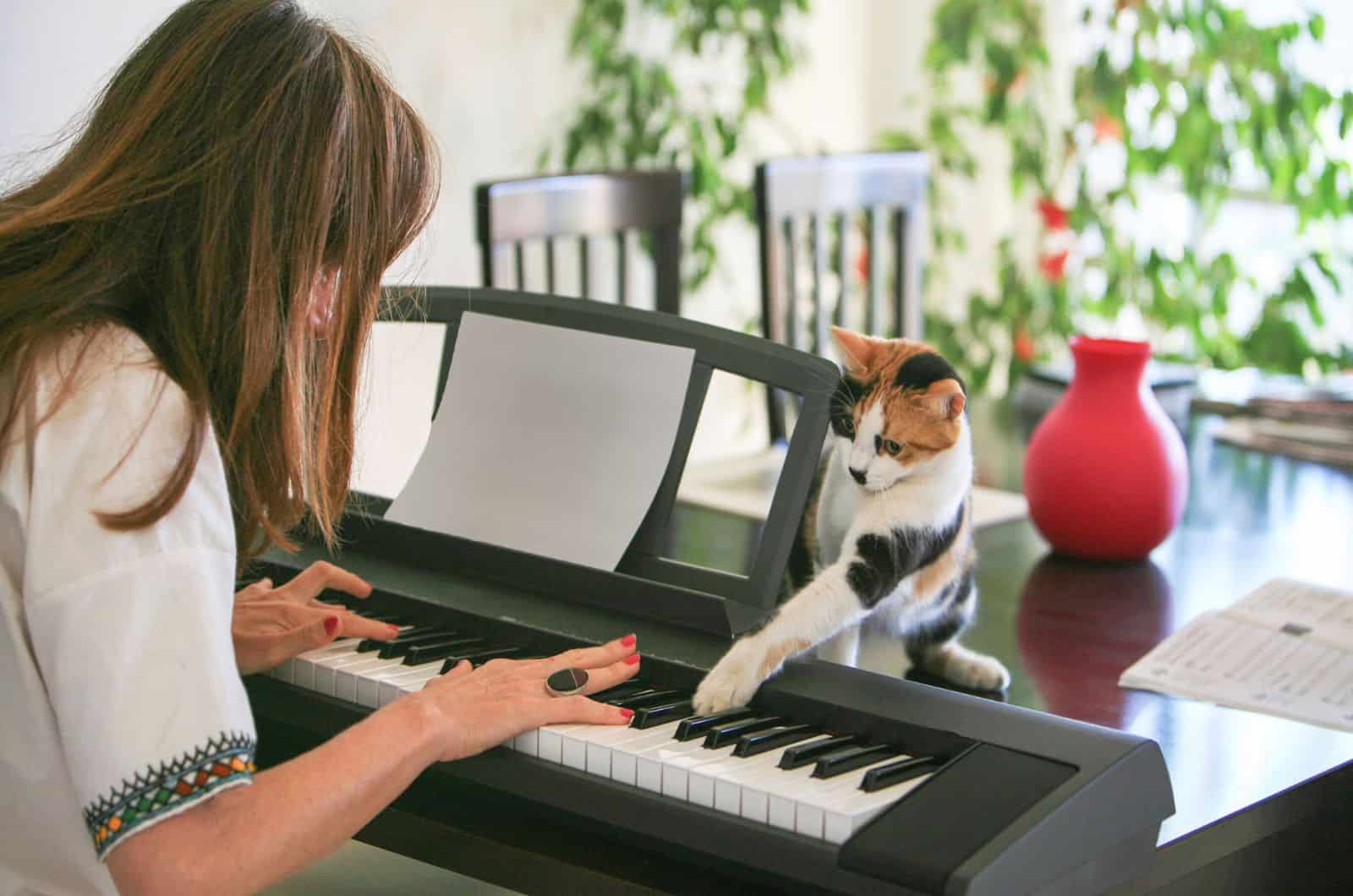 Woman and tortoiseshell cat playing the piano