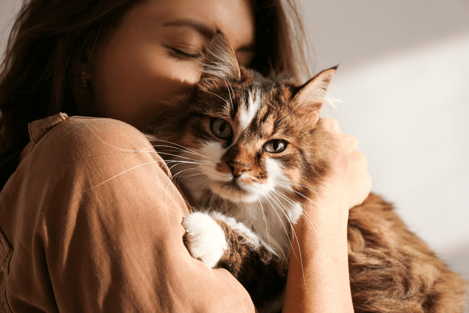 an adorable cat in a woman's arms