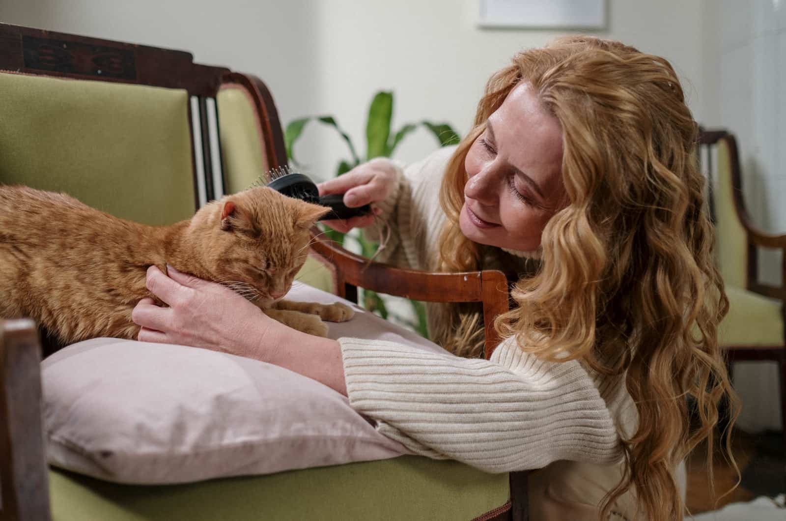 woman brushing her cat