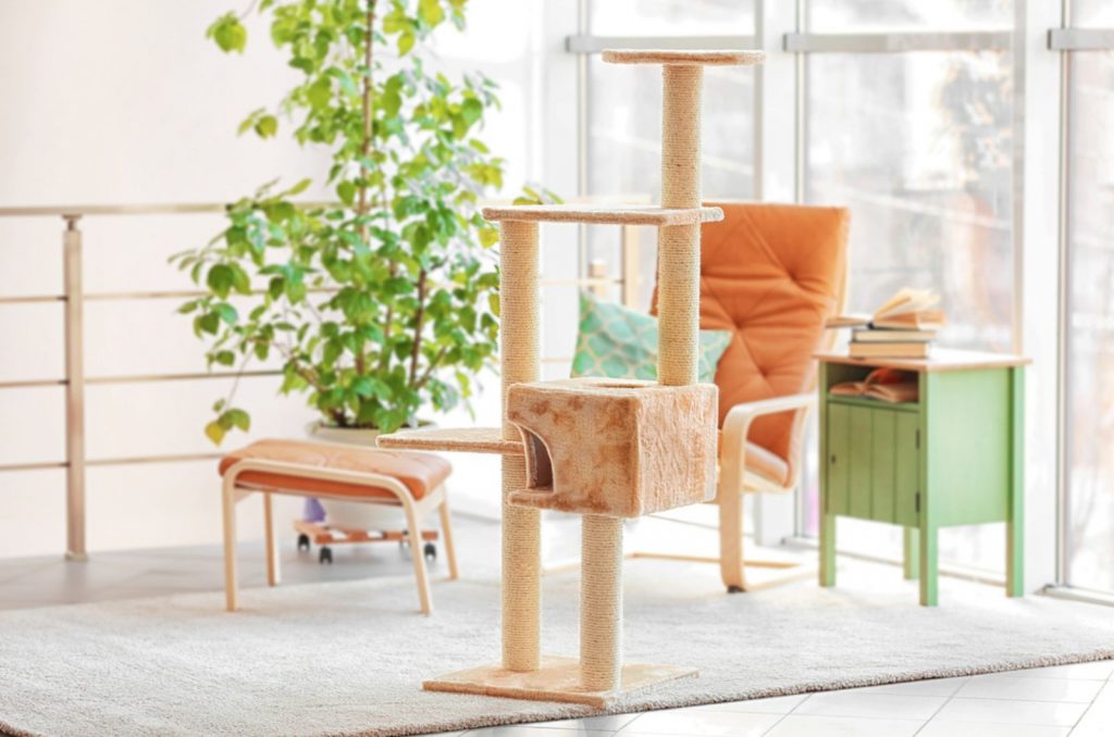 How To Clean Cat Tree? Disinfect And Clean Your Cat Tree