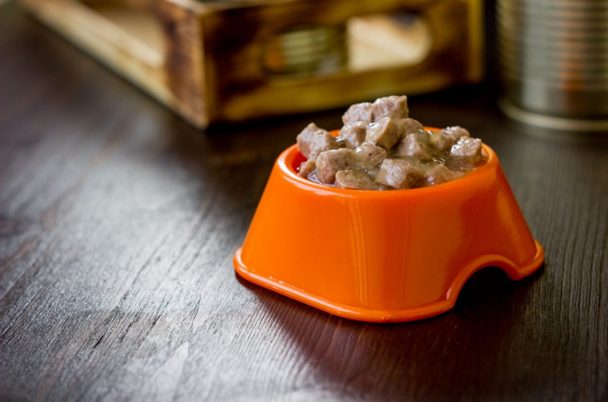 Smalls Cat Food Review Pros, Cons, and Product