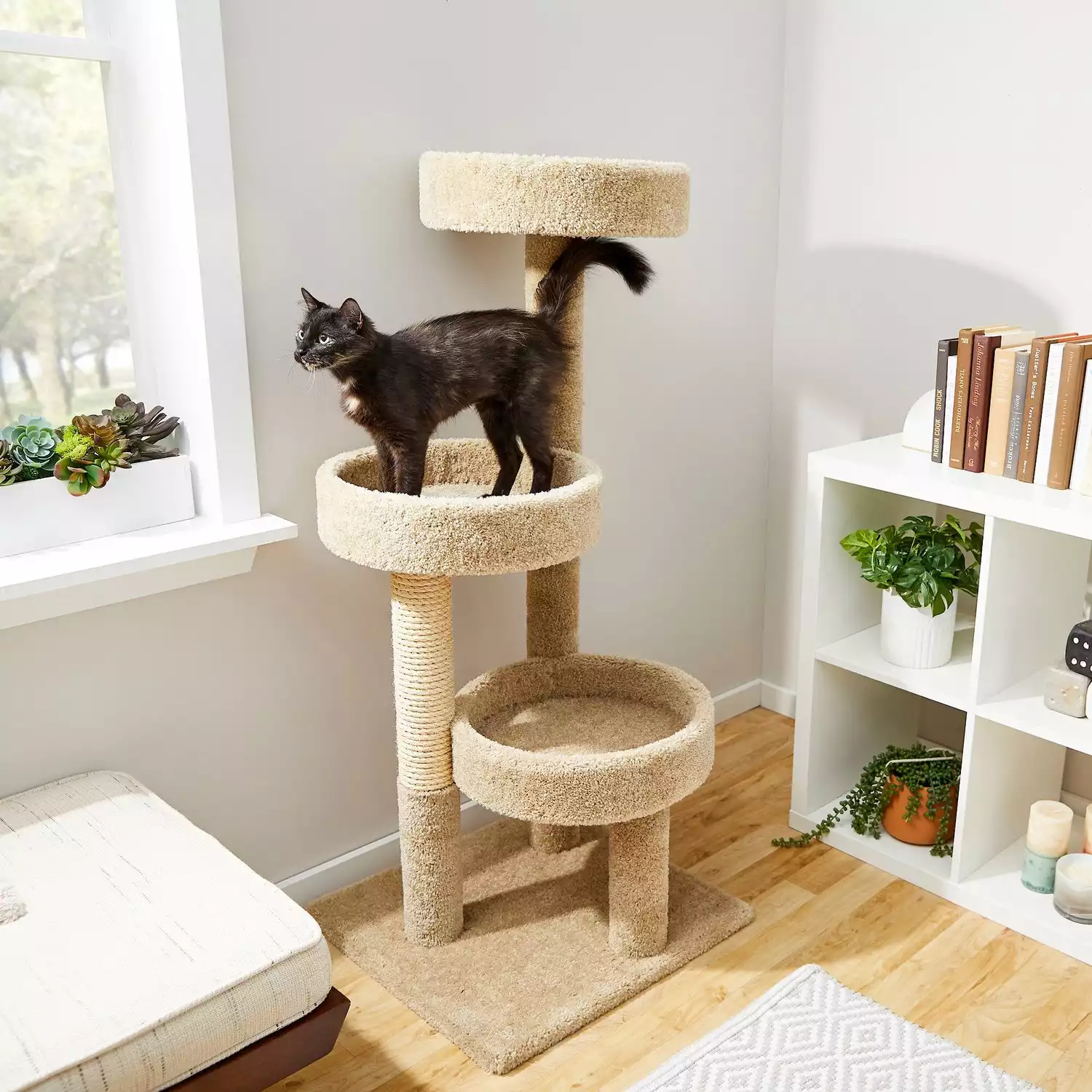 Frisco 50-in Real Carpet Wooden Cat Tree