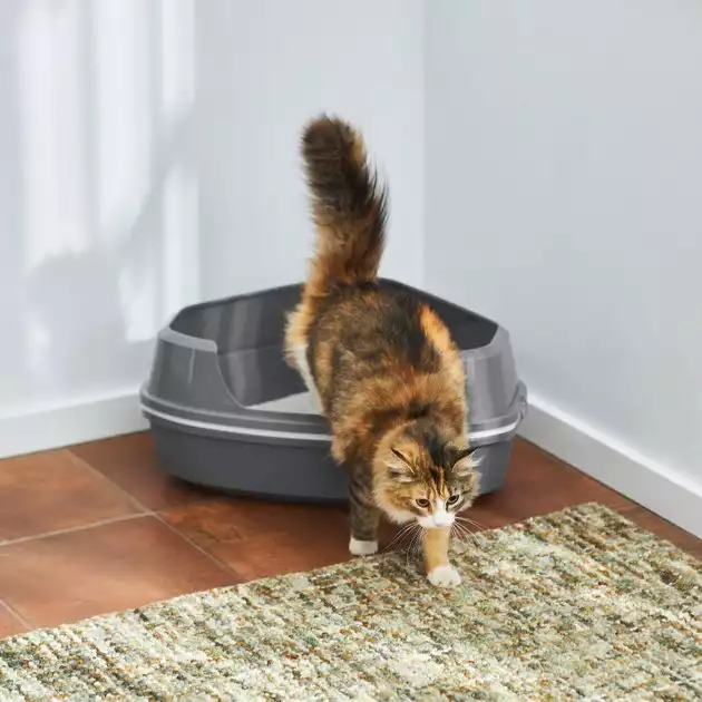 Frisco Corner Sifting Cat Litter Box With Rim