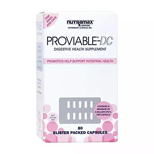 Nutramax Proviable Digestive Health Supplement