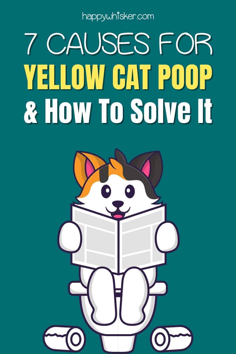7 Causes For Yellow Cat Poop & How To Solve It Pinterest