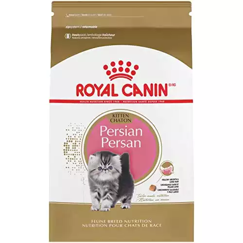 Royal Canin Feline Persian Kitten Dry Cat Food