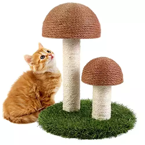 Odoland Cat Scratching Post - Mushroom