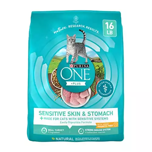 Purina ONE Sensitive Skin & Stomach Dry Cat Food