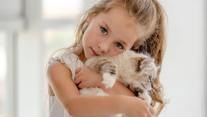 Are Ragdoll Cats Hypoallergenic? Tips For Allergy Sufferers