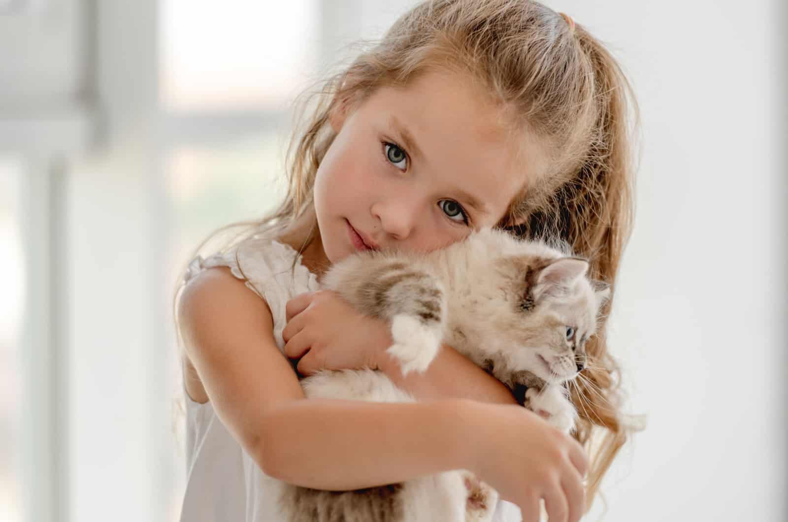 girl holding a ragdoll kitten