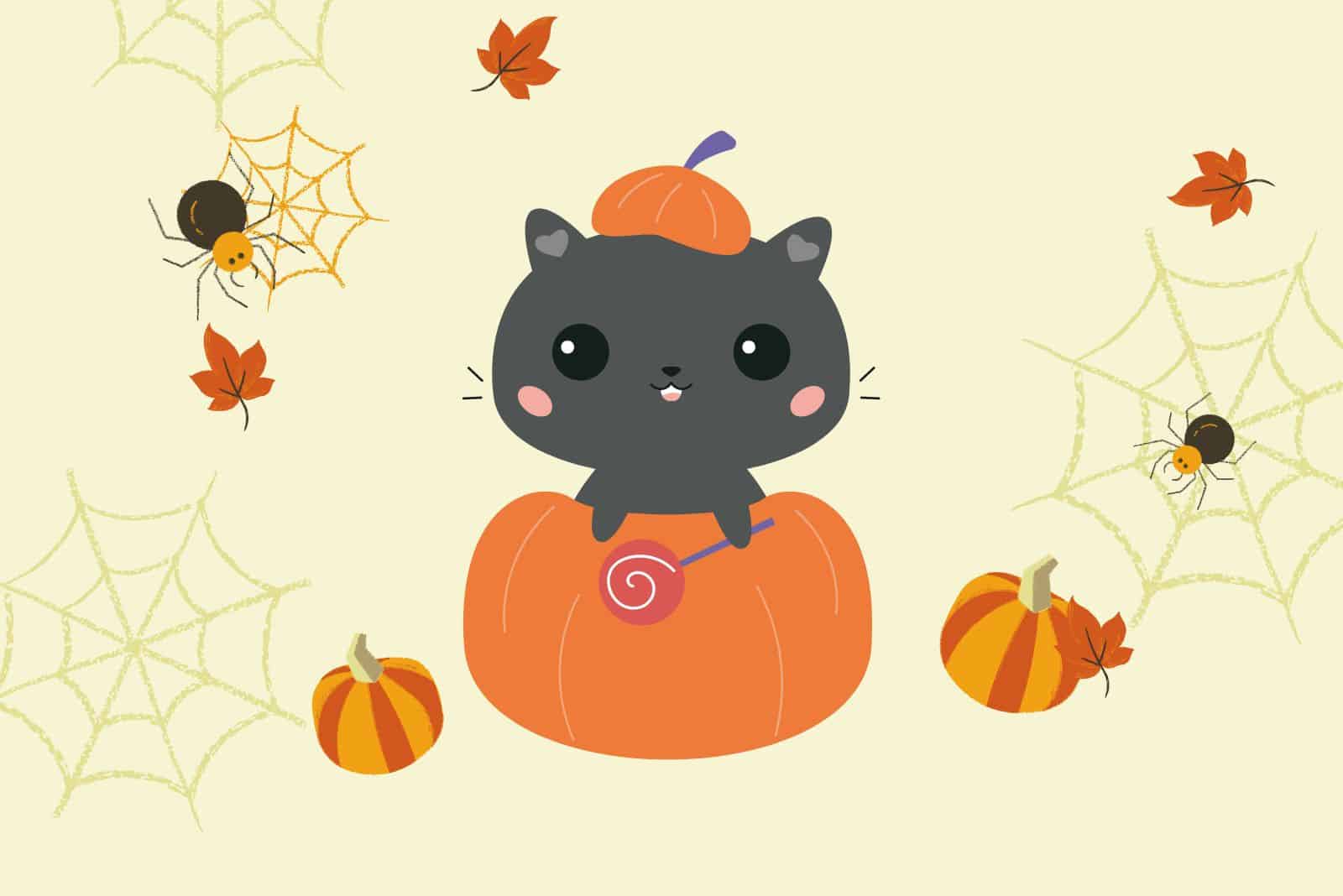 illustration with cute black cat and pumpkin